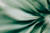 SECURE 2.0 Provisions and Priorities for Defined Contribution Plans 